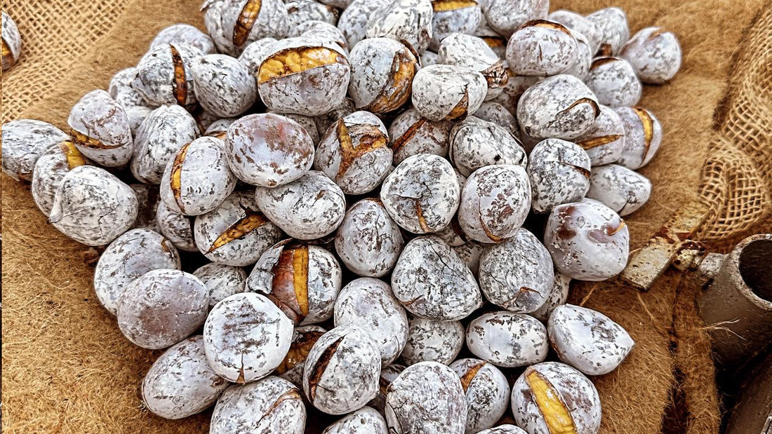 Castanha
