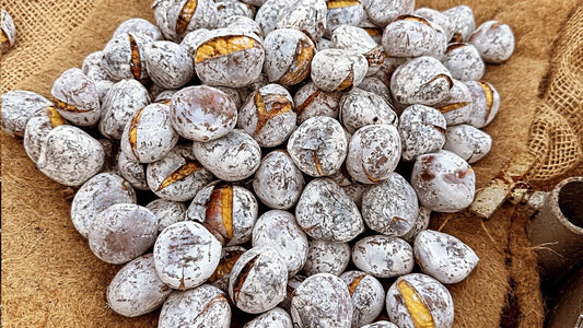 Castanha