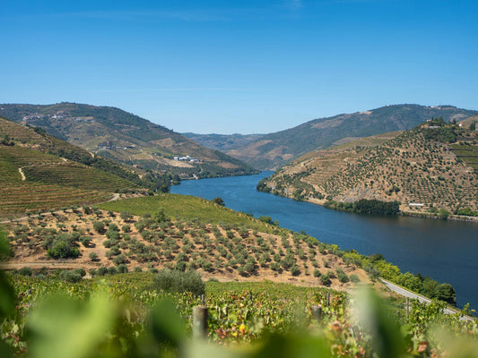 Dourofluss und Weinreben