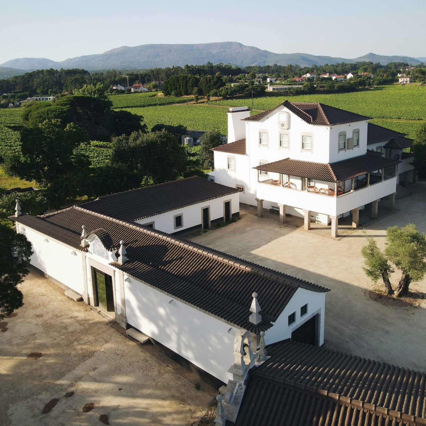 Flaschen der Quinta de S.Salvador da Torre Kollektion