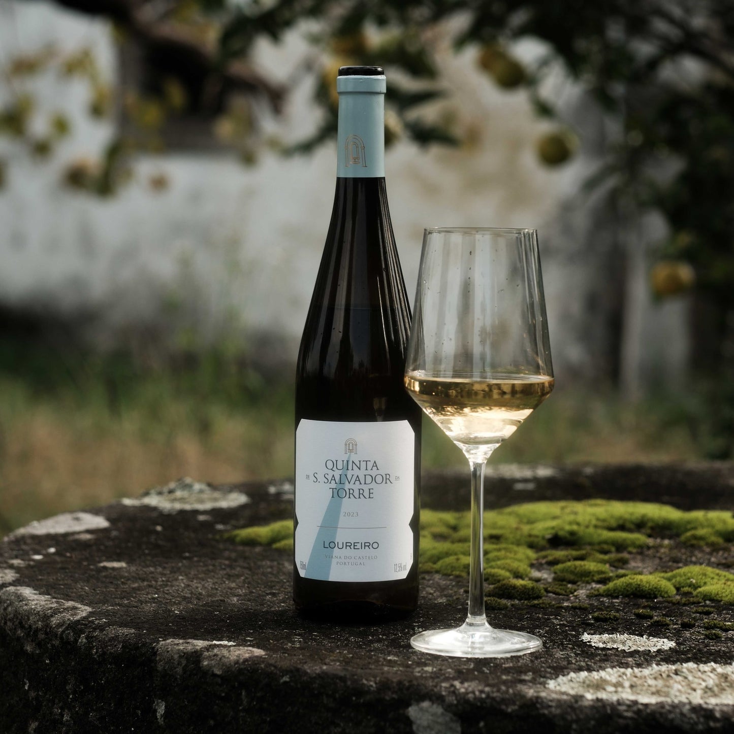 Quinta de S.Salvador da Torre Loureiro Branco 2024