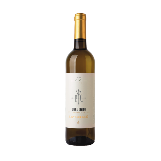 Brejinho da Costa Sauvignon Blanc 2022
