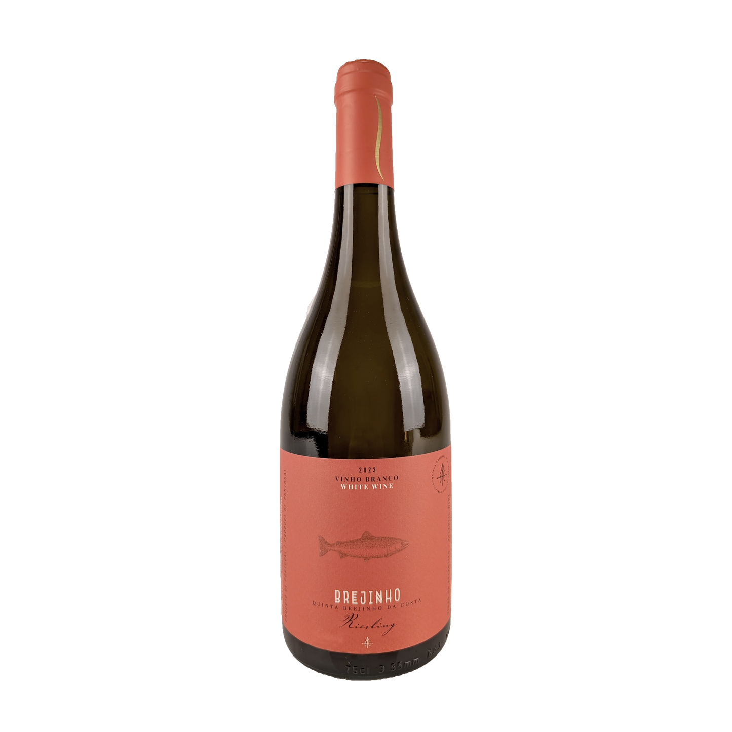 Brejinho da Costa Riesling 2023
