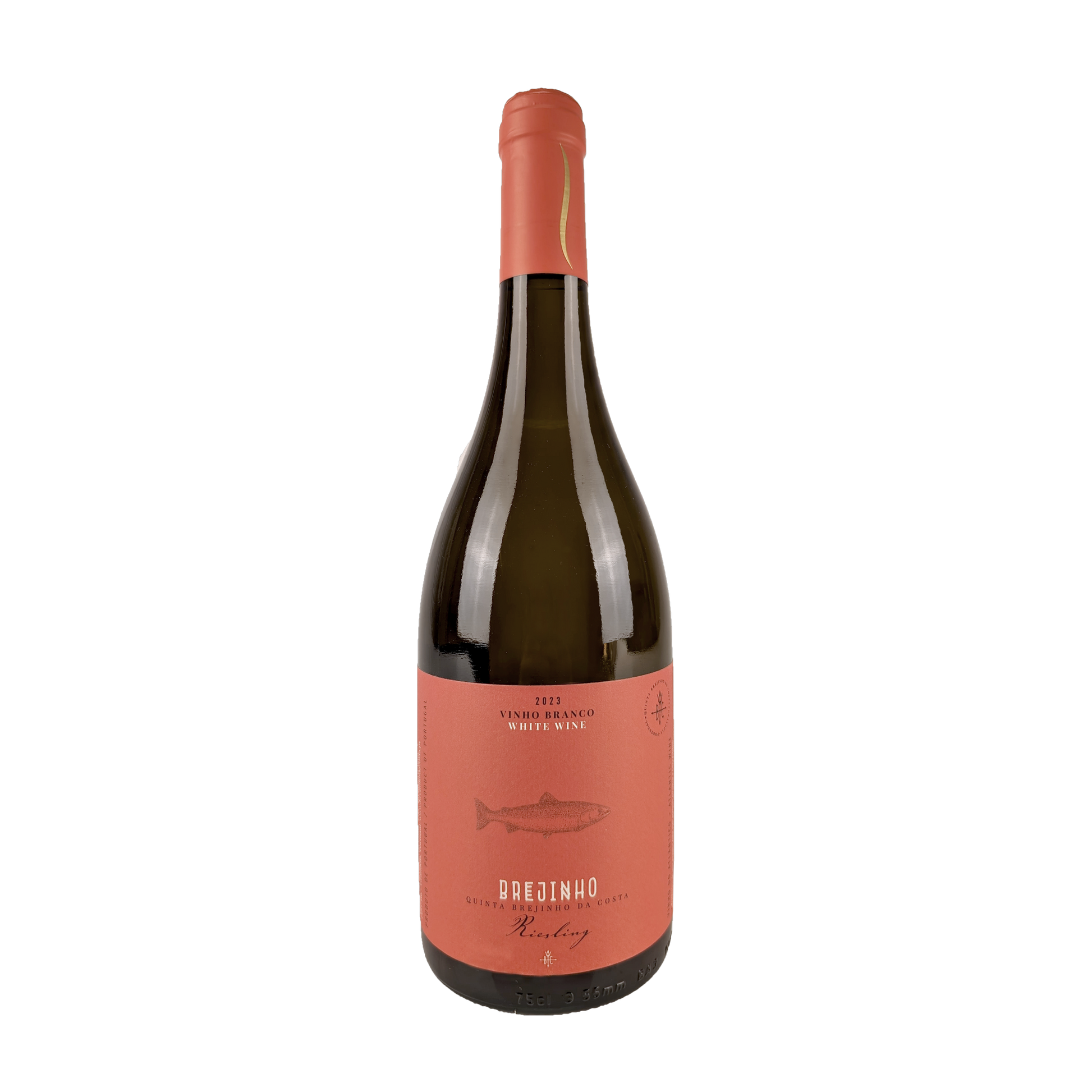 Brejinho da Costa Riesling 2023