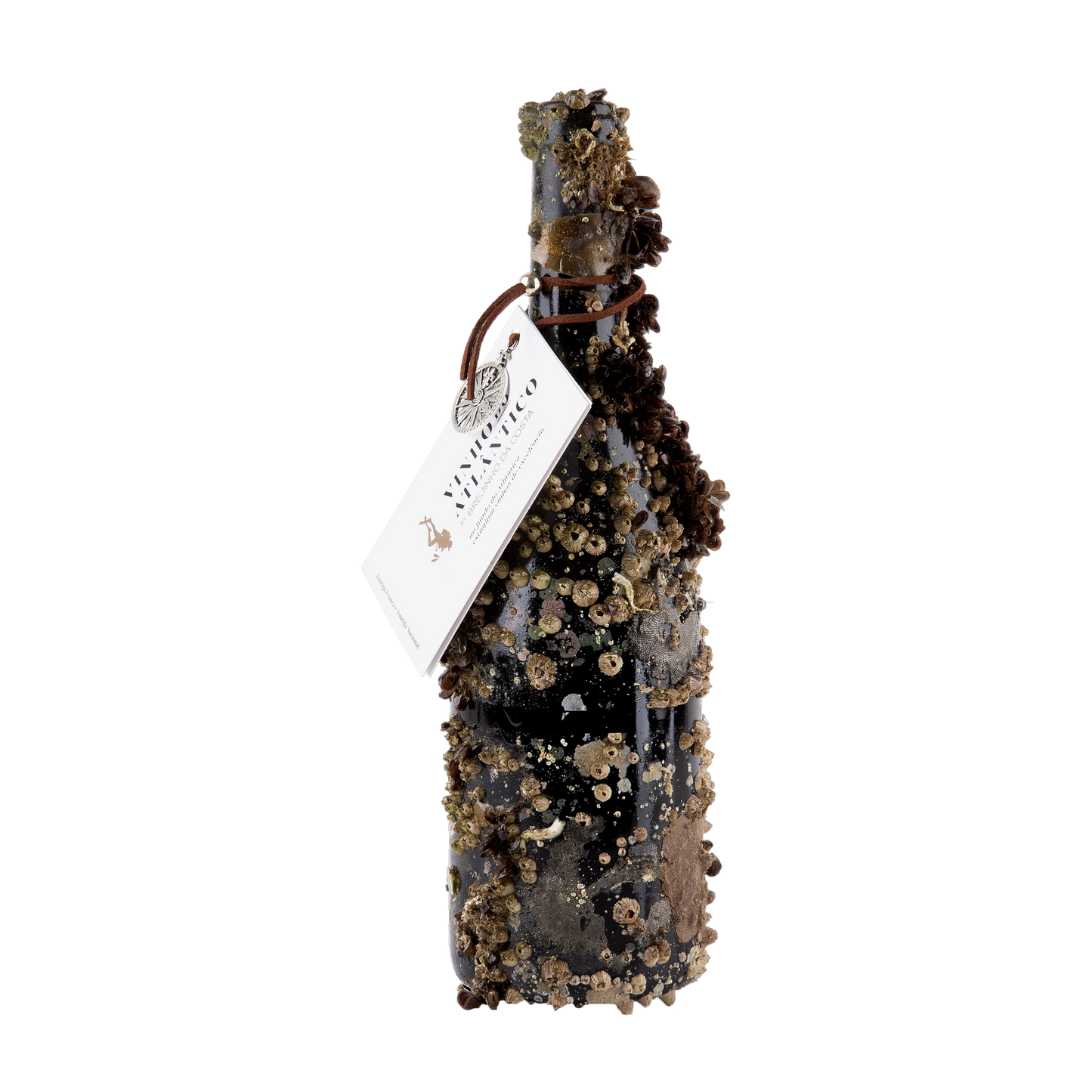 Brejinho da Costa Vinho do Atlântico Branco