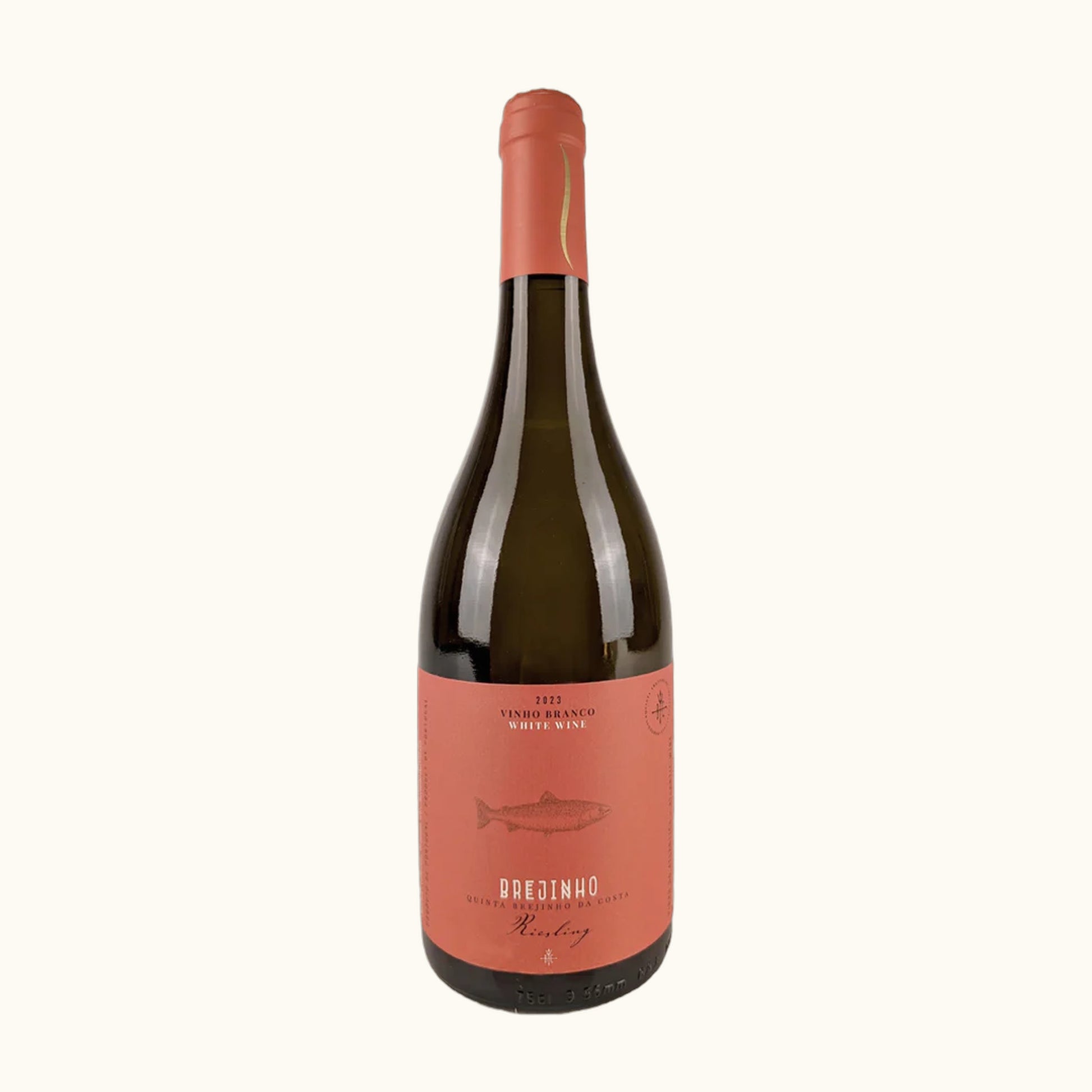 Brejinho Riesling 2023 Weisswein - Flasche mit Etikett vor weissem Hintergrund