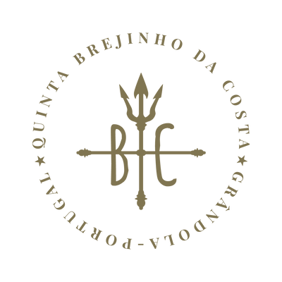 Brejinho da Costa
