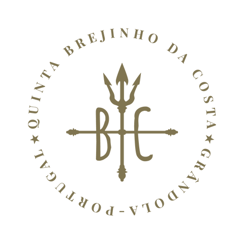 Brejinho da Costa Logo