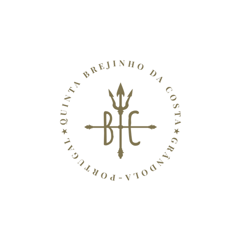 Brejinho da Costa Logo