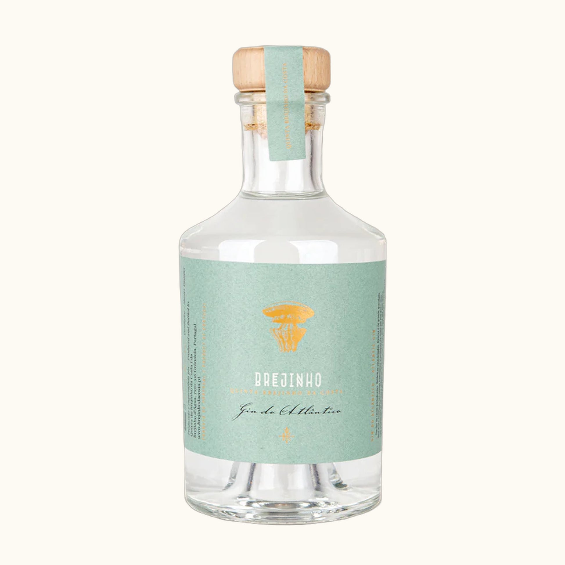 Brejinho Gin - Flasche mit Etikett vor beigem Hintergrund