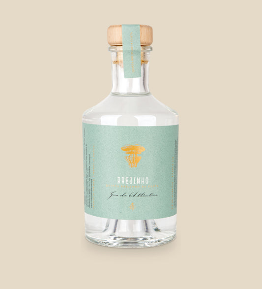Brejinho Gin - Flasche mit Etikett vor beigem Hintergrund