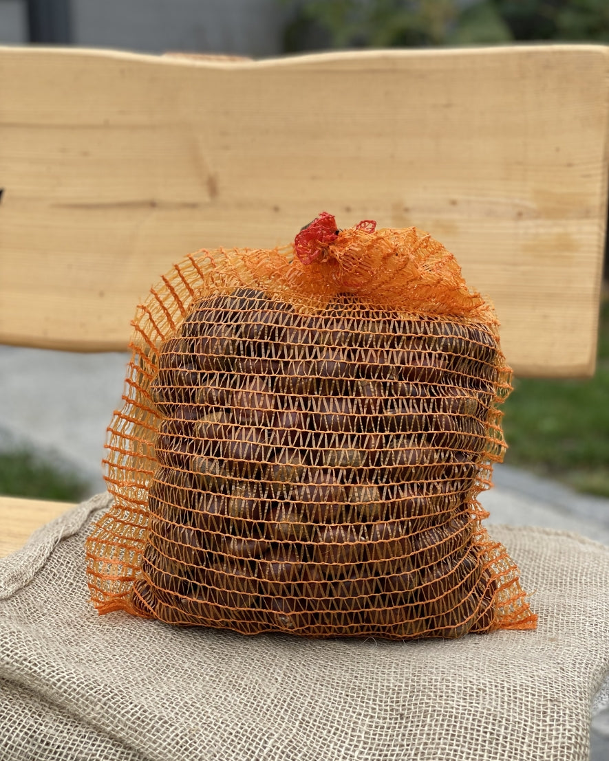 Sack von abgepackten Marroni (ungekocht) auf Bank