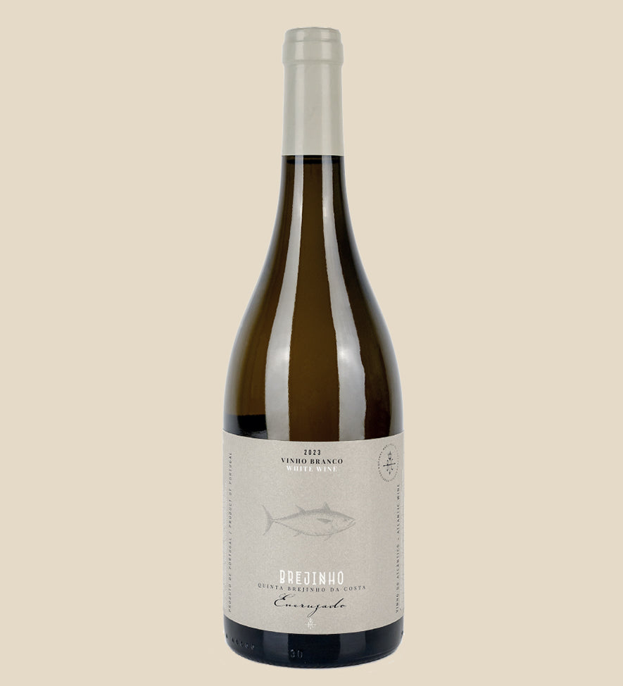 Brejinho da Costa Encruzado 2023