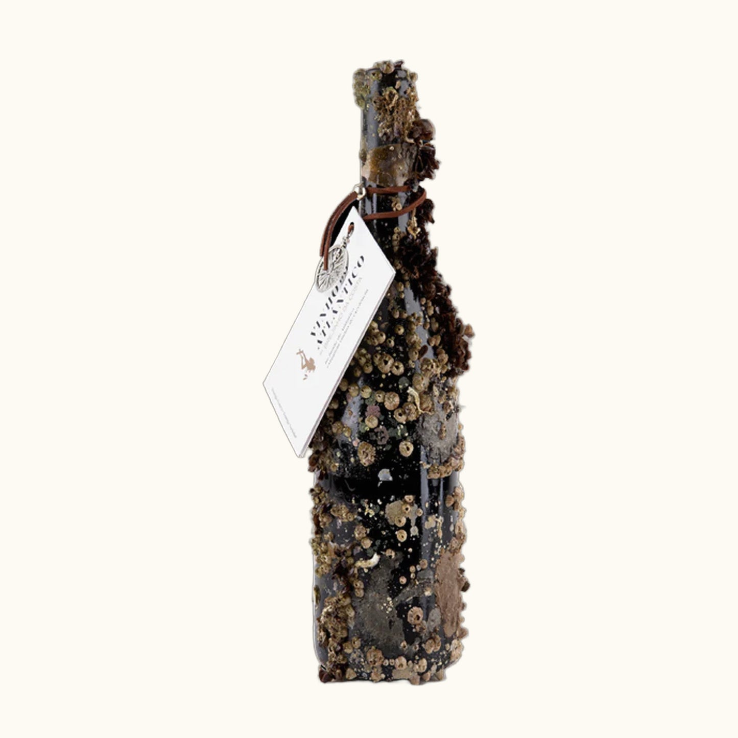 Vinho do Atlantico Flasche mit viel Muscheln an der Flasche (direkt aus dem Meer)