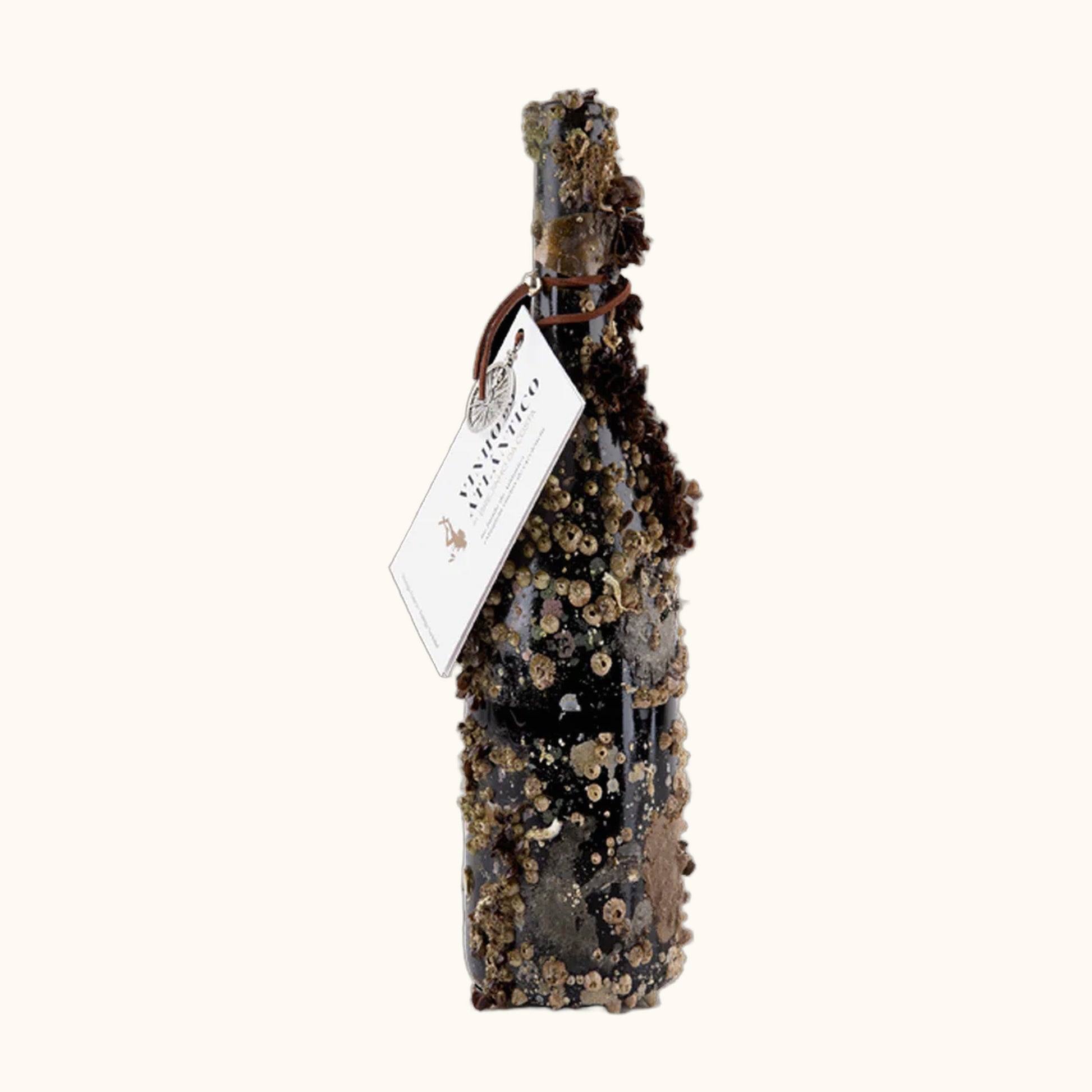 Vinho do Atlantico Flasche mit viel Muscheln an der Flasche (direkt aus dem Meer)